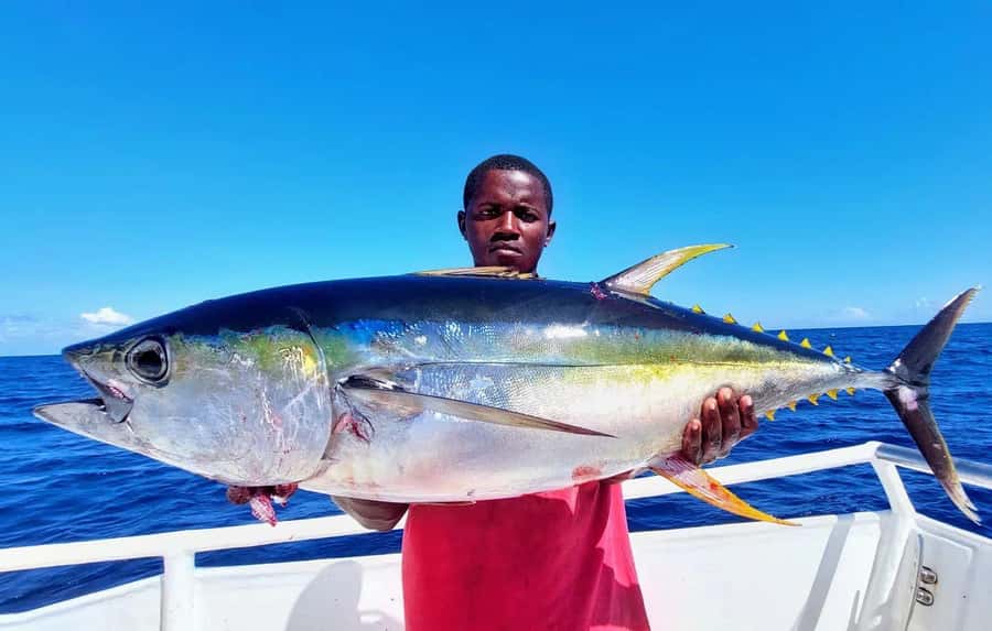 ZANZIBAR FISHING EXPRIENCE - The 4-hour guided fishing block: safety first, then lines in the water